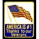 THANKS TO OUR VETERANS PIN USA FLAG PIN DX